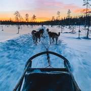 Oulanka National Park, Finland