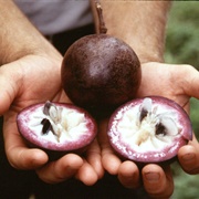 Cainito (Chrysophyllum Cainito)