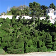 Harper's Topiary Garden
