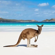Lucky Bay