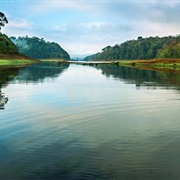 Periyar National Park, India