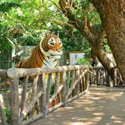 Dusit Zoo, Bangkok
