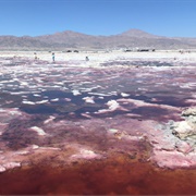 Searles Lake
