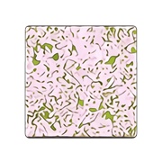 Cherry-Blossom Flooring