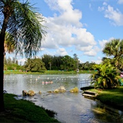 Warm Mineral Springs