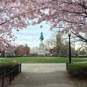 Capitol Hill Parks