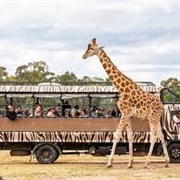 Dubbo Western Plains Zoo