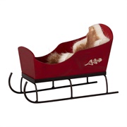 Toy Sleigh