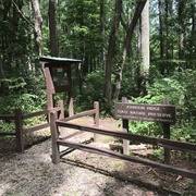 Johnson Ridge State Nature Preserve