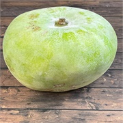 Ash Gourd