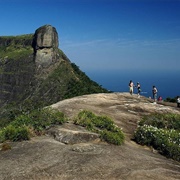 Pedra Bonita Mountain, Tijuca National Park, Rio, Brazil