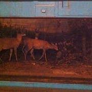 The Abandoned Dioramas of the Old Grand Rapids Public Museum (Permanently Closed)