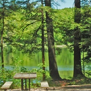 Half Moon Pond State Park, Vermont