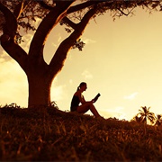 Sitting Under a Tree