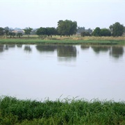Chari River, Chad/C.A.R./Cameroon