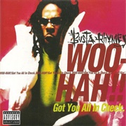 Busta Rhymes - Woo Hah Get You All in Check