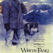 White Fang