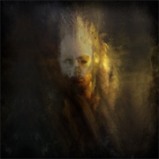 The King Is Blind - We Are the Parasite, We Are the Cance