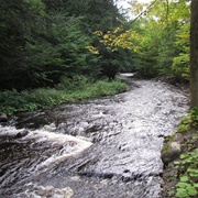 Whetstone Gulf State Park, New York