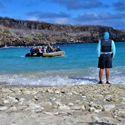 Genovesa-Tower, Galapagos Islands, Ecuador
