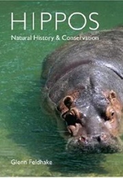 Hippos (Glenn Feldhake)