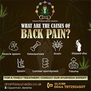 Back Pain