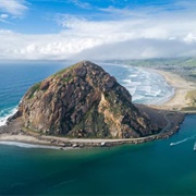 Central California Marine Sanctuaries, California
