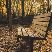 Hoffman Forest Metropark
