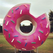 Springfield Big Doughnut