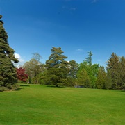 Bayard Cutting Arboretum State Park, New York