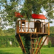 Built a Treehouse