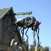 Pukekura Giant Sandfly