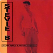 Dream About You-Funky Melody - Stevie B
