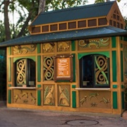 The Smiling Crocodile