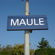 Maule