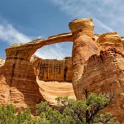 Rattlesnake Canyon Arches
