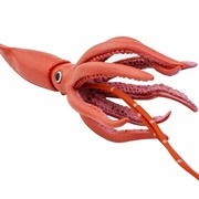 Toy Squid