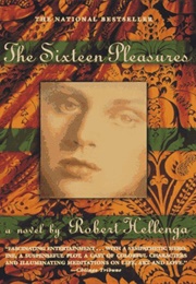 The Sixteen Pleasures (Robert Hellenga)