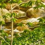 Hidden Elves at the Denver Museum of Nature and Science