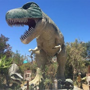 Stop at a Random Roadside Attraction