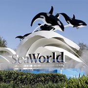 Sea World Orlando