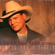 I Miss You a Little - John Michael Montgomery