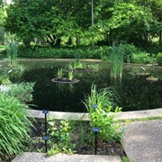W. J. Beal Botanical Garden
