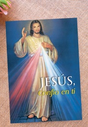 Jesus Trust in You (Vvaa)