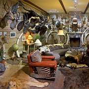 Wilbur D. May Museum