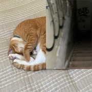 Today I Laid Down (Bl4ck M4rket C4rt, 2023)