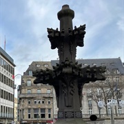 Kreuzblume, Cologne