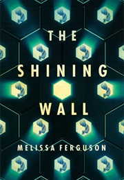 The Shining Wall (Melissa Ferguson)