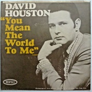 You Mean the World to Me - David Houston