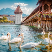 Lucerne
